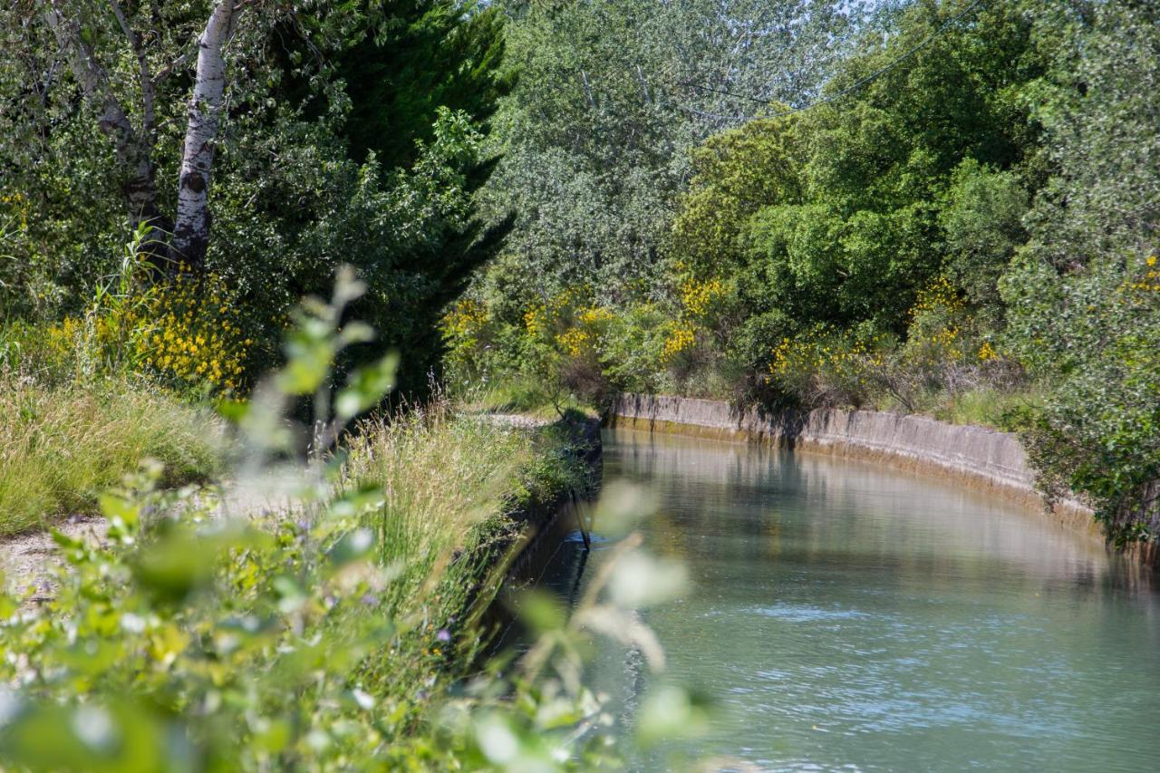 El Sama-In , Piscine Chauffee Villa LʼIsle-sur-la-Sorgue Eksteriør billede