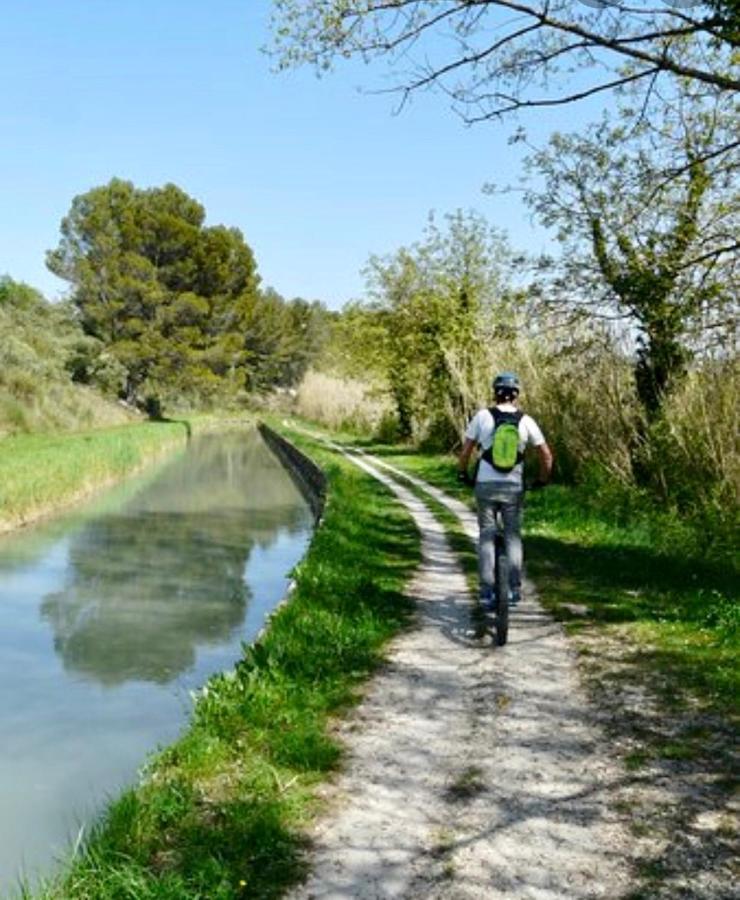 El Sama-In , Piscine Chauffee Villa LʼIsle-sur-la-Sorgue Eksteriør billede